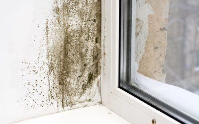 Signs of Mold in Your Home