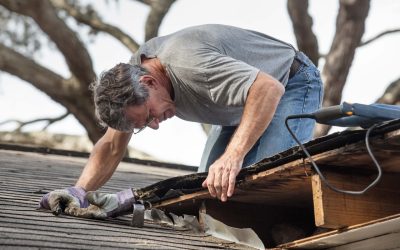 Roof and Attic Maintenance: Inspections and Upkeep
