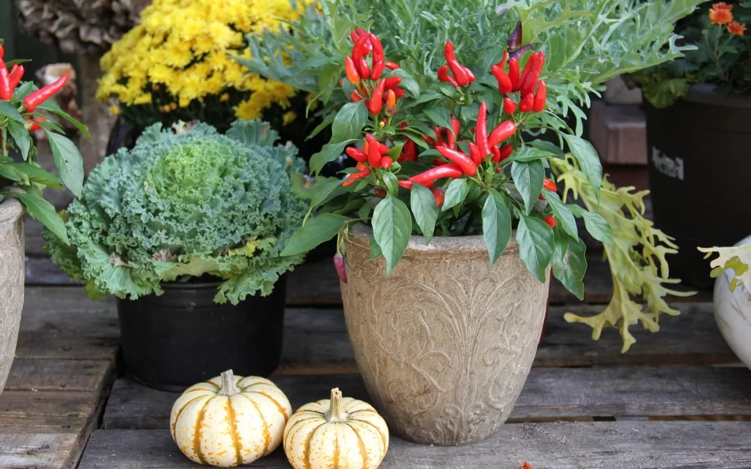 6 Ways to Prepare Your Outdoor Living Space for Fall